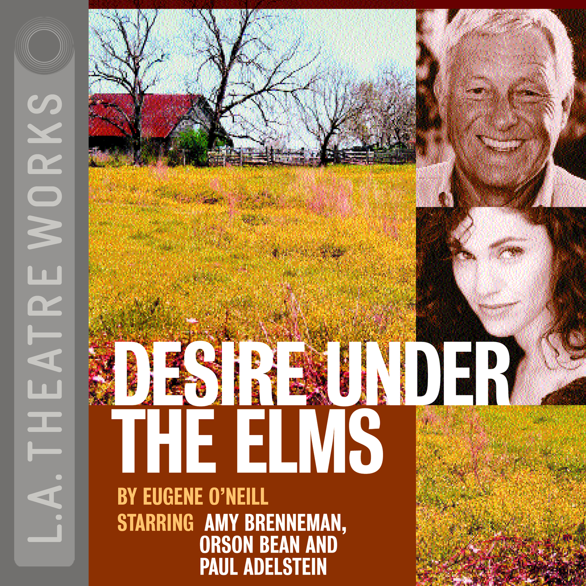 Desire Under the Elms Cover Art